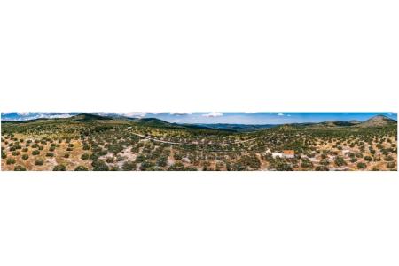 Green Huis (Dogs are welcome) foto 4