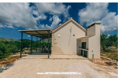 Green Huis (Dogs are welcome) foto 5