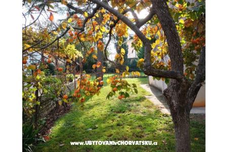 Flowers Appartement Medulin, Fucane 2 foto 4