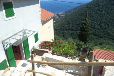 Vakantiehuis Mickey foto 2