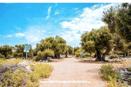 Appartementen Šegota foto 2