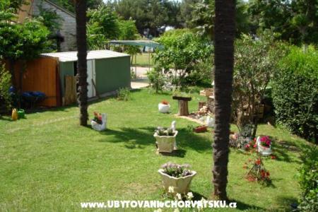 Appartement Živka foto 5