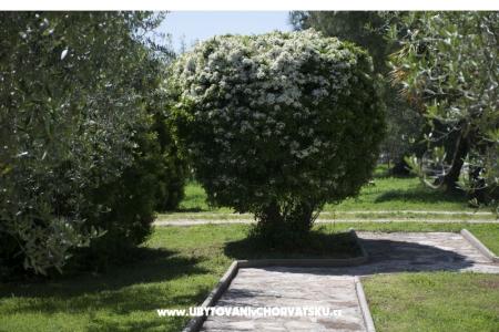 Sanja Appartementen Novigrad foto 3