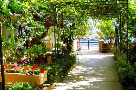 Appartementen Ana foto 2