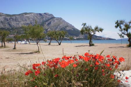 Appartementen Danka Čudić foto 3
