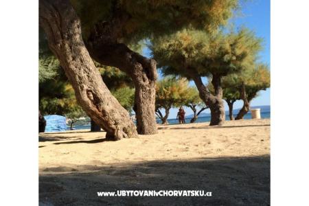 Appartementen Ivanka Omis Kroatië