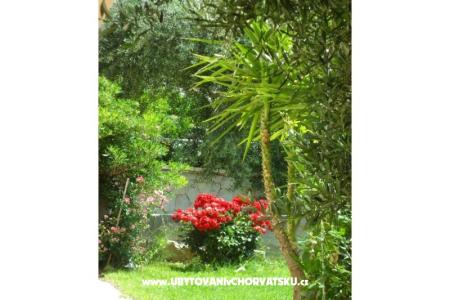 Appartementen Maja foto 4