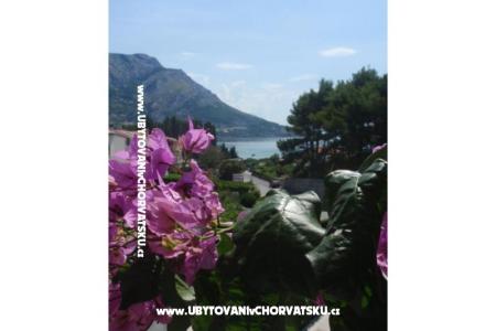 Appartementen Vinka Saric foto 2