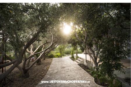 Appartement Toni foto 3