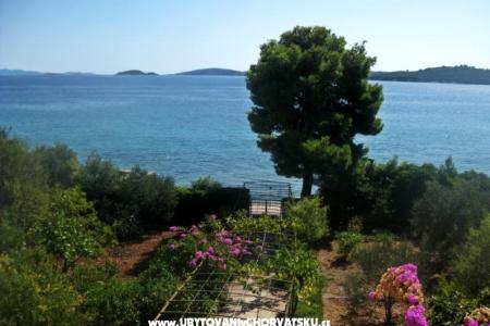 Appartementen Šurjak foto 3