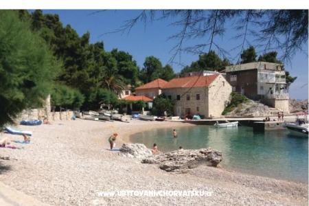 Two olive trees foto 2