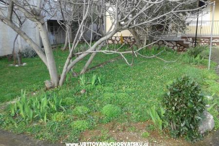 Appartement - Huis  Milka foto 4