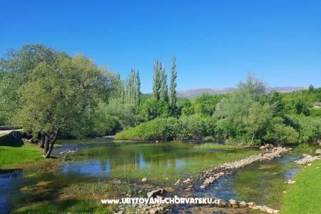 Appartementen Tomic foto 3