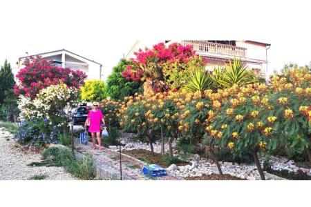 Appartementen Jadranka foto 4