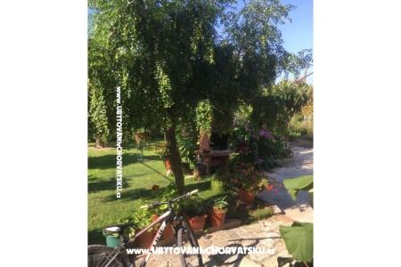 Appartementen Jasa  foto 5