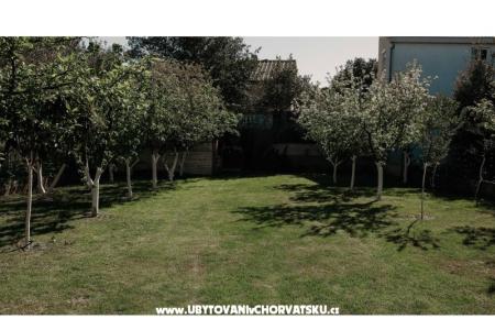 Appartementen Ivišić foto 5