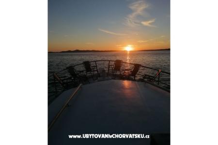 Tourist boat - Robinson Tourism foto 3