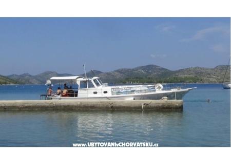 Tourist boat - Robinson Tourism foto 4