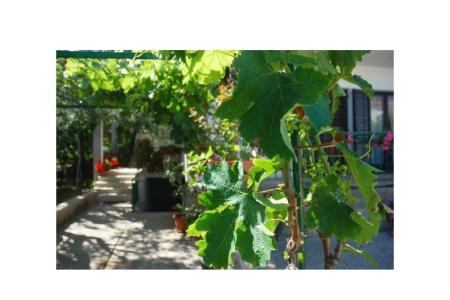 Appartementen Danica foto 3