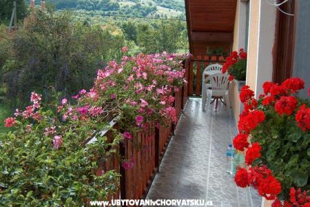 Apartma Hodak foto 2