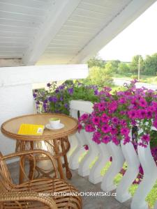 White Huis foto 4