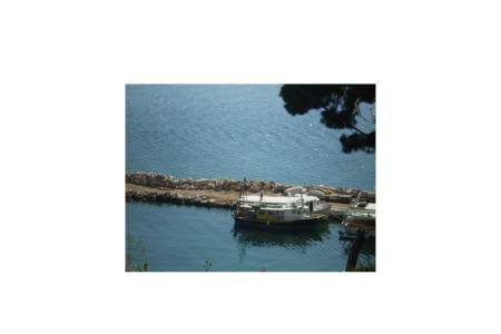 Appartementen Antonela foto 4