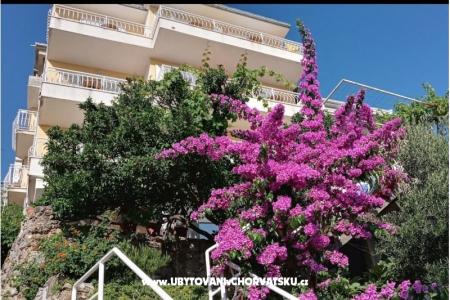 Villa Skala foto 2