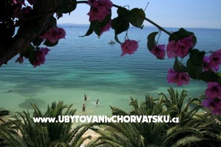 Appartementen Palme foto 3