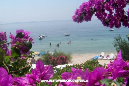 Appartementen Petar Vlašić Podstrana Kroatië