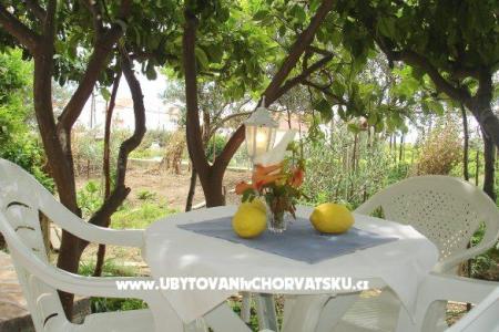 Appartementen Bougainvillea foto 2