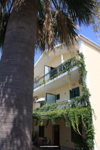 Appartementen Nera foto 5