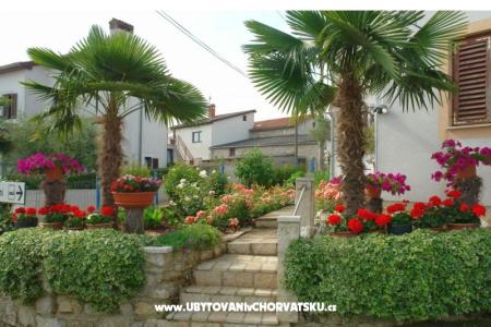 Appartementen Milokanović foto 4