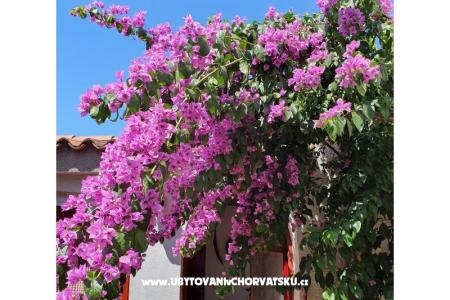 Appartementen Kero foto 3