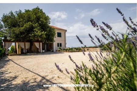 Appartementen Andreja Primosten Kroatië