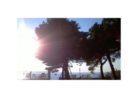 Appartementen Šime foto 3