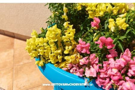 Appartement Sandra foto 5