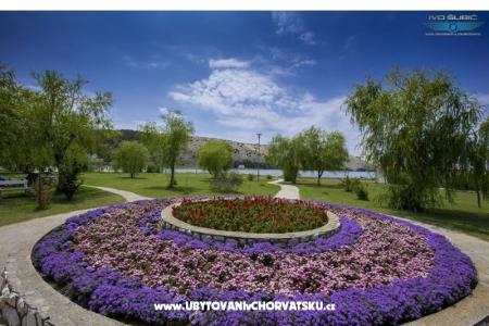 Appartementen Sandra foto 2