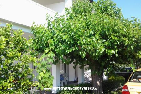 Appartementen Snjezana eiland Rab Kroatië