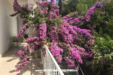 Appartementen  Španjol foto 4