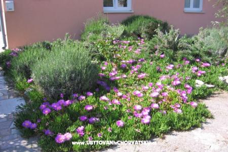 Appartement Marina exclusive foto 3