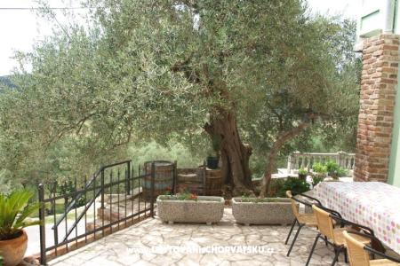 Appartementen Dumičić foto 2