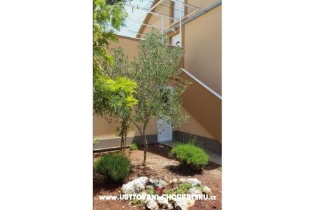 Appartementen Pejo foto 4