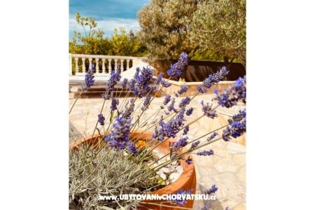 Appartementen Sunset foto 4