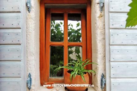 Dalmatera apartment foto 5