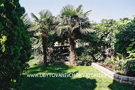 Appartementen BOS-KO foto 3