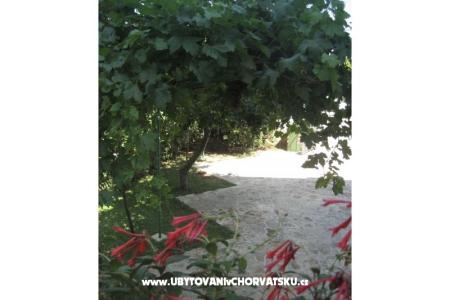 Appartementen Ida &amp; Sandra foto 5