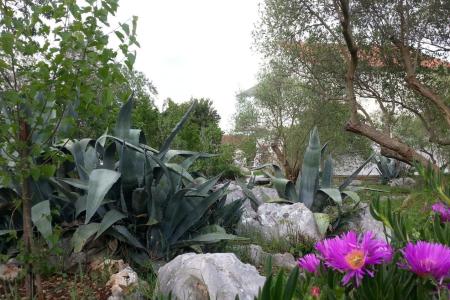 Appartementen Vlado foto 4