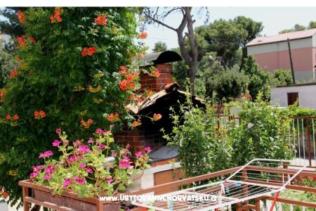 Appartementen Marija i Toni foto 4