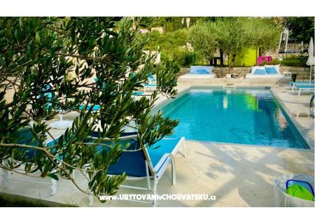 Villa Dube Slano/ villa met zwembad foto 3