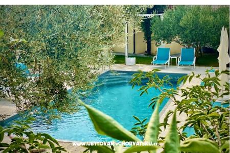 Villa Dube Slano/ villa met zwembad foto 4